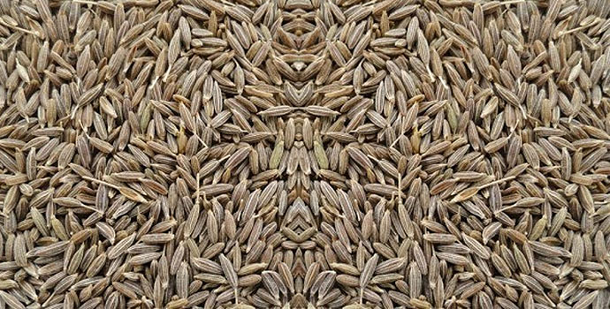 Cumin Seed