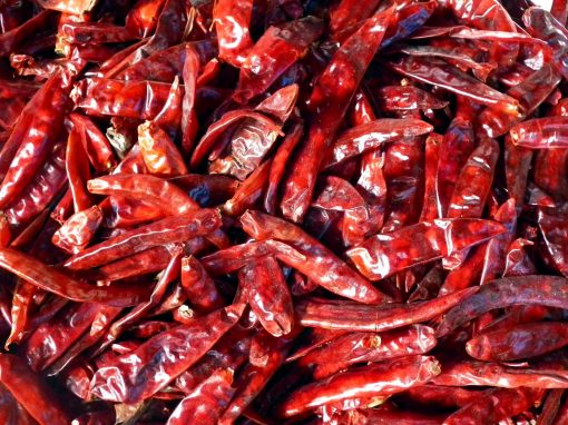 Dry Red Chilies(S17)