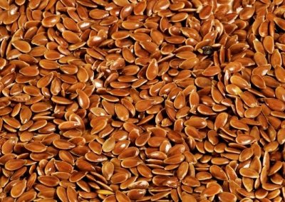 Flax Seed