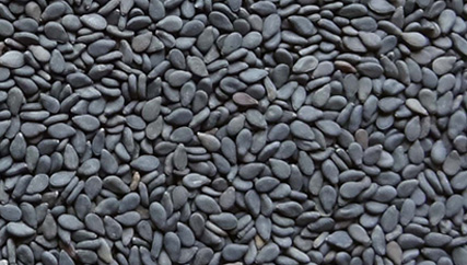 Black Sesame Seed